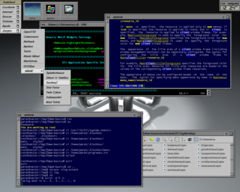 [Captura de 5Dwm]
