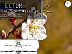 [Captura de W9wm]