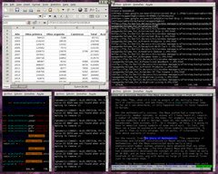 [Captura de Bspwm]