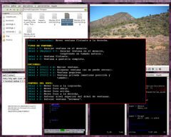 [Captura de Bspwm]