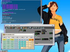 [Captura de Flwm]