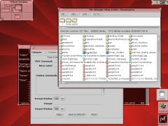 [Captura de Olvwm]