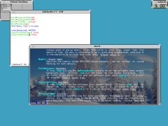 [Captura de Olvwm]