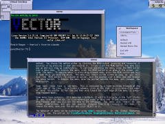 [Captura de Olvwm]