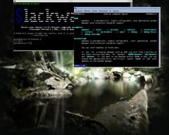 [Captura de Openbox]