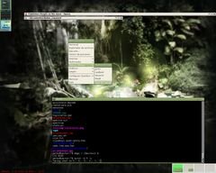 [Captura de Openbox]