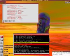 [Captura de PerlWM]