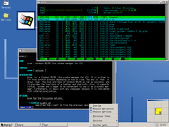 [Captura de Qvwm]