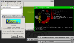 [Captura de Scwm]