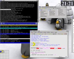 [Captura de Scwm]