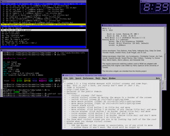[Captura de SedWM]