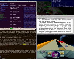 [Captura de StumpWM]